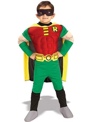 Robin Dress Up Costume