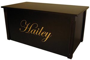 Personalized Trunk for Girls - lots of ideas for dress up trunks at www.kidslovedressup.com