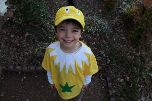 Dr. Seuss Costumes Ideas For Kids: Star Bellied Sneetch Costume!